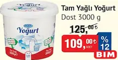 Dost Tam Yağlı Yoğurt 3000 g