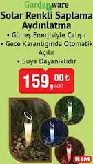 Gardenware Solar Renkli Saplama Aydınlatma