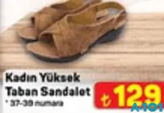 Juno Kadın Yüksek Taban Sandalet