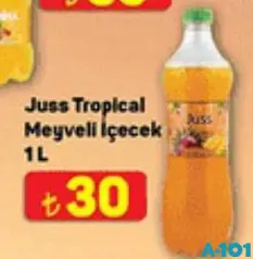 Juss Tropical Meyveli İçecek 1 L