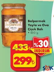 Balparmak Yayla ve Ova Çiçek Balı 850 g