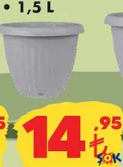 Lale Saksı Çeşitleri 1,5 L