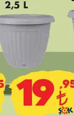 Lale Saksı Çeşitleri 2,5 L