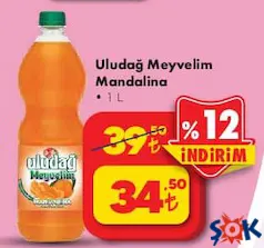 Uludağ Meyvelim Mandalina 1 L