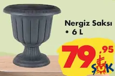 Nergiz Saksı 6 L