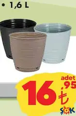 Sahra Saksı Çeşitleri 1,6 L