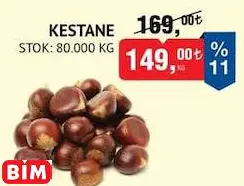 Kestane